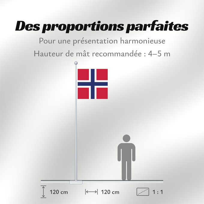 Proportions du drapeau : Naval Jack of Norway