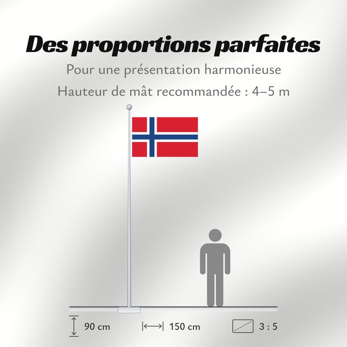 Proportions du drapeau : Norway Norvège Noruega Norwegen Norvegia Noorwegen Norwegii علم النرويج Сцяг Нарвегіі Banniel Norvegia Norska Norwy Norges Norvegio Norjan Noregs Norveške Norski fáninn 노르웨이의 국기 Norvegiae Norges flagg Det norske flagget Þjóðfáni Noregs Norgga leavga Прапо
