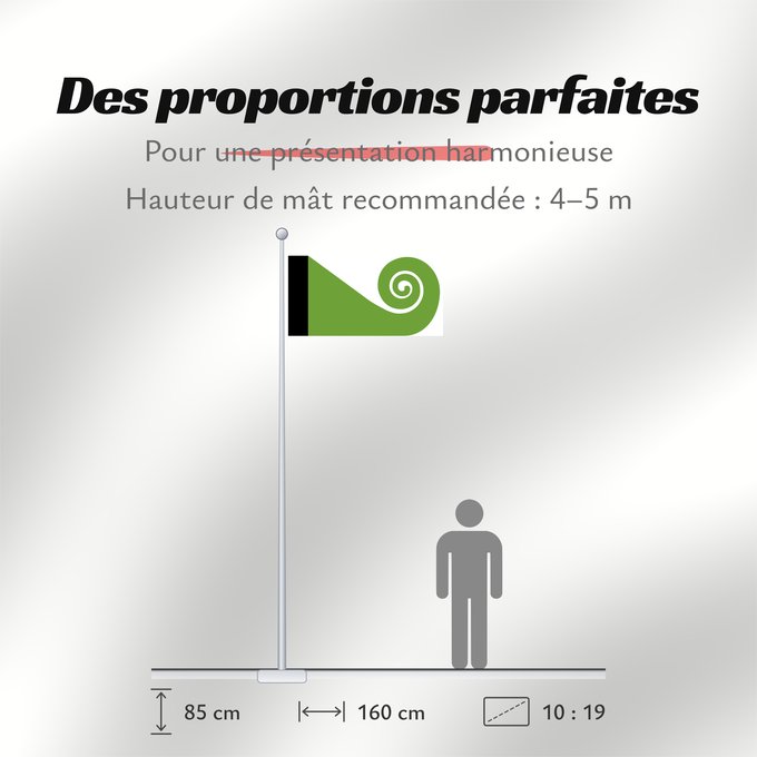 Proportions du drapeau : Koru This image shows the popular Koru Flag