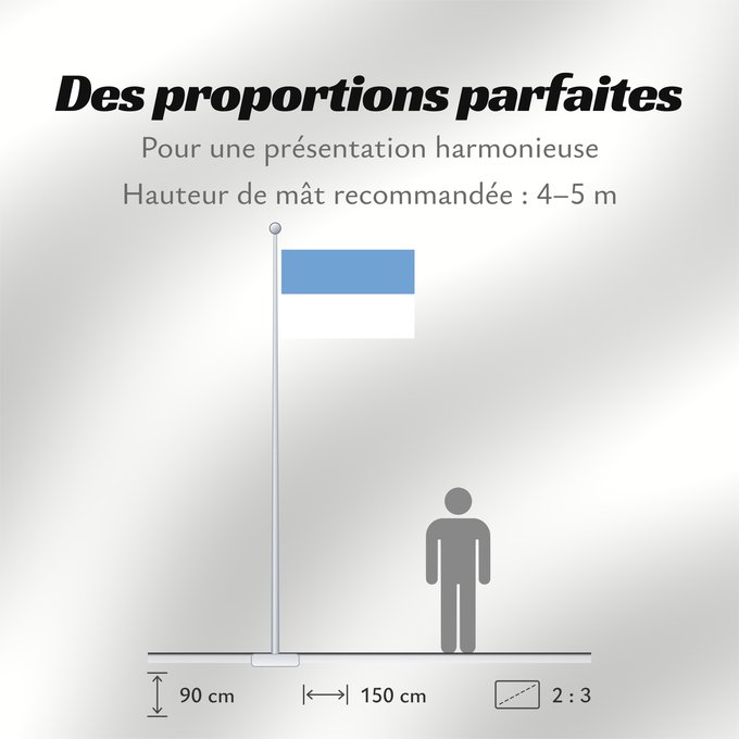 Proportions du drapeau : Puno