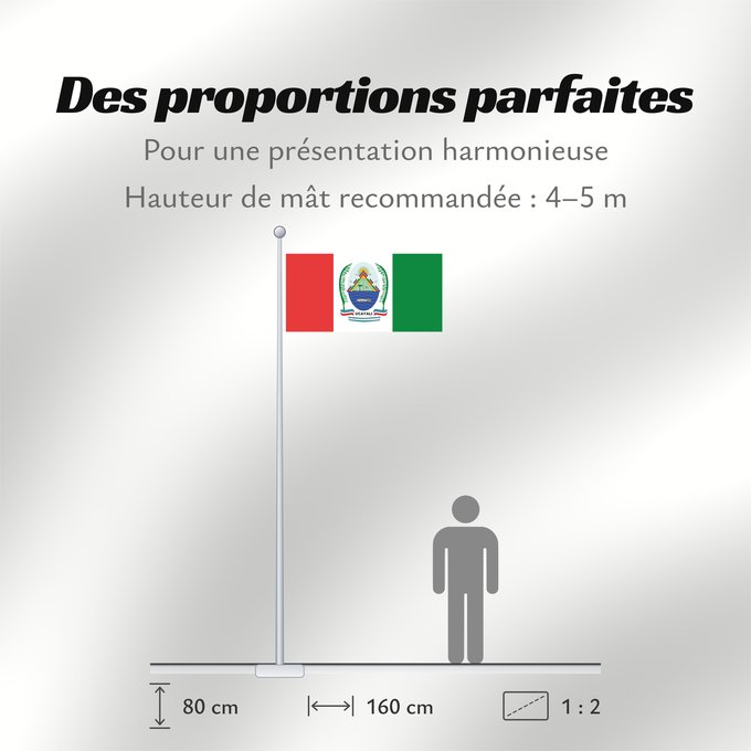 Proportions du drapeau : Ucayali	Réplica de la bandera con el escudo región Ucayali según el Atlas de la Región Ucayali  noviembre de 2009