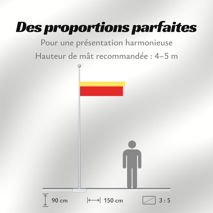 Proportions du drapeau : Malopolskie flaga