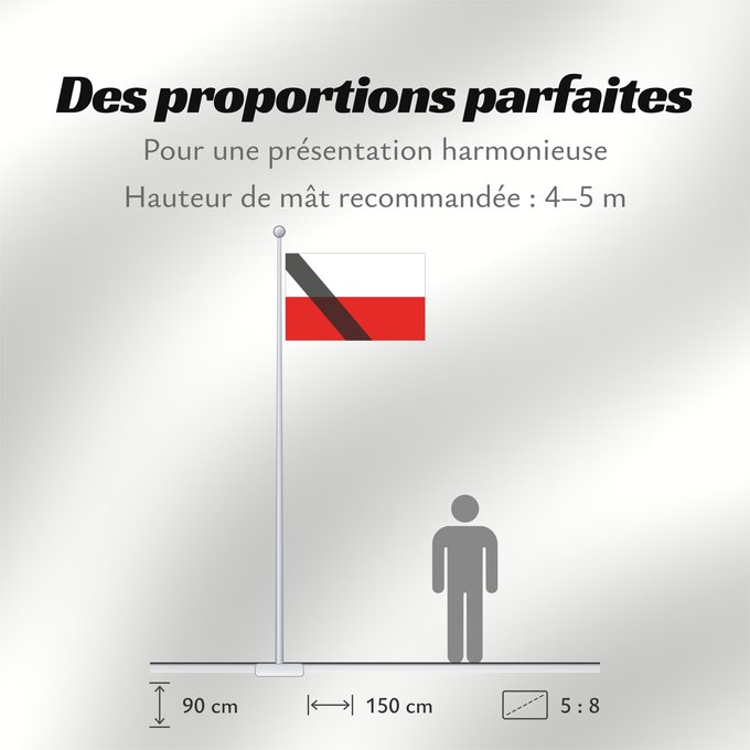 Proportions du drapeau : Poland 29 01	A Flag of Poland with a pall	Pologne (29 01)	Polonia (29 01)	Polen (29 01)	Polski z kirem