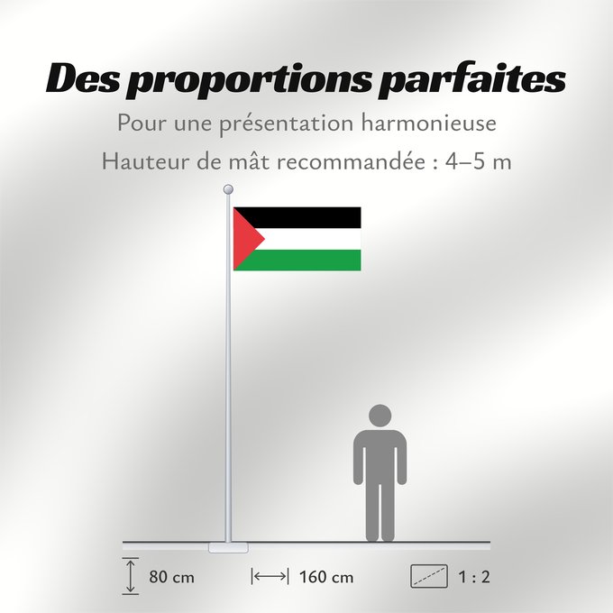 Proportions du drapeau : Palestine - short triangle	A variant of the flag of Palestine used in different periods of its history	Palestine (variante triangle court)	Palestina (variante triángulo corto)	Palästina (kurze Dreiecksvariante)	Palestina (variante triangolo corto)