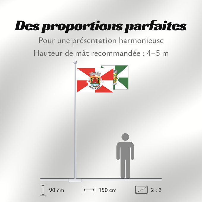 Proportions du drapeau : Leiria