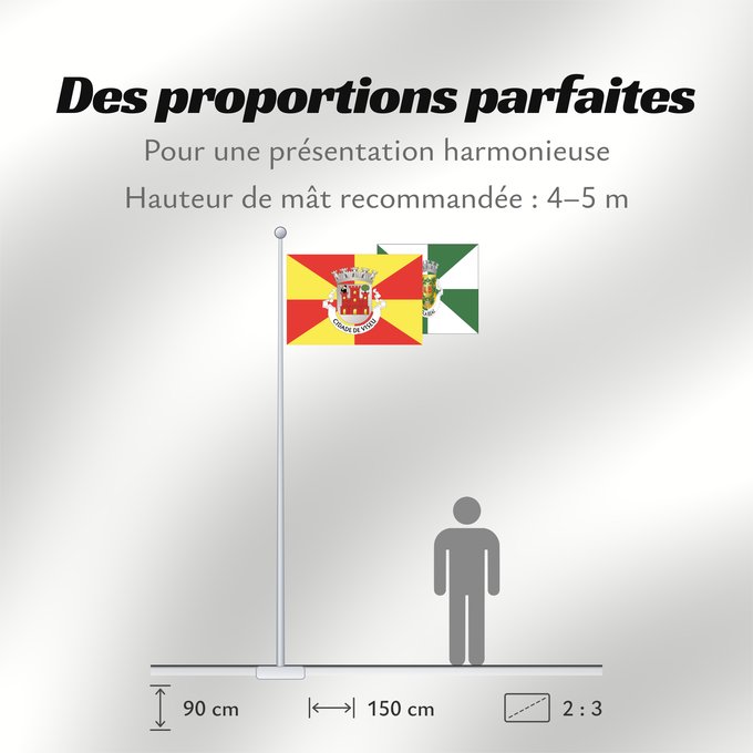 Proportions du drapeau : Viseu