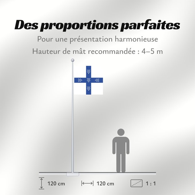 Proportions du drapeau : PortugueseFlag1143