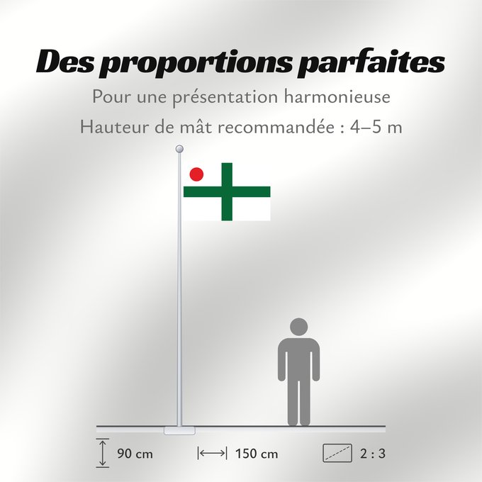 Proportions du drapeau : PT Vice Admiral