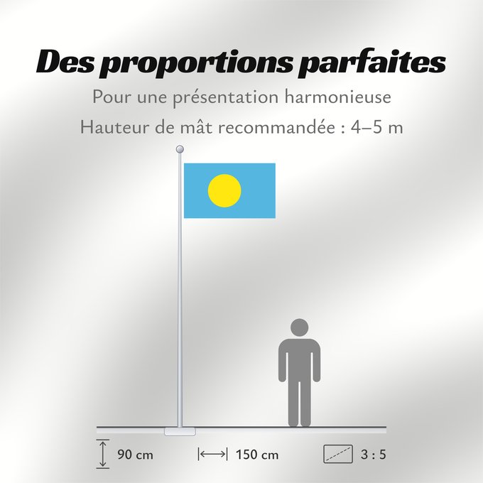 Proportions du drapeau : Palau	Palau, made by User Gabbe	 Palaos	Palaos	パラオの国旗	Palaua	​帕勞國旗