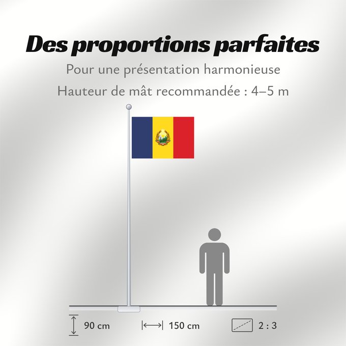 Proportions du drapeau : Romania  1948-1952	Romania  28 March 1948 - 24 September 1952  Construction sheet of the Flag of Romania as depicted in Decree nr