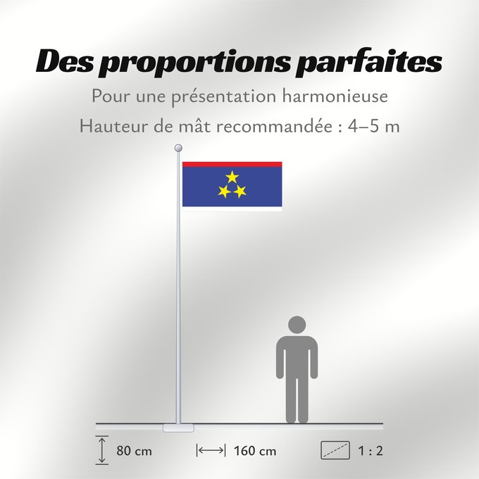 Proportions du drapeau : Vojvodina Voïvodine Voivodina Wojwodina Застава Војводине Vojvodine A Vajdaság Voivodinei Vojvodiny