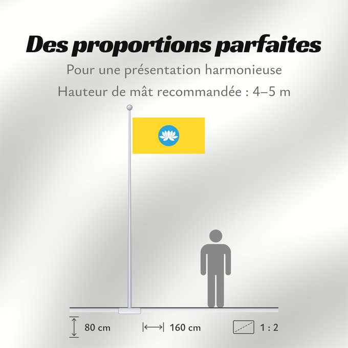 Proportions du drapeau : Kalmykia	Kalmoukie	República de Kalmukia 	Kalmückien	Флаг Республики Калмыкия	Туг Хальмг Таңһч