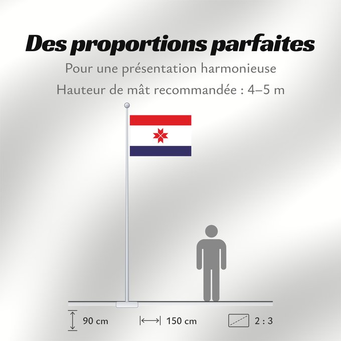 Proportions du drapeau : Mordovia	Republic of Mordovia	Mordovie	 República de Mordovia 	Mordowia	Repubblica di Mordovia