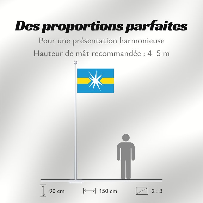 Proportions du drapeau : Linyevo Novosibirsk oblast Linyevo, Novosibirsk Region, Russia Liniyevo Linyewo Флаг рабочего посёлка Линёво