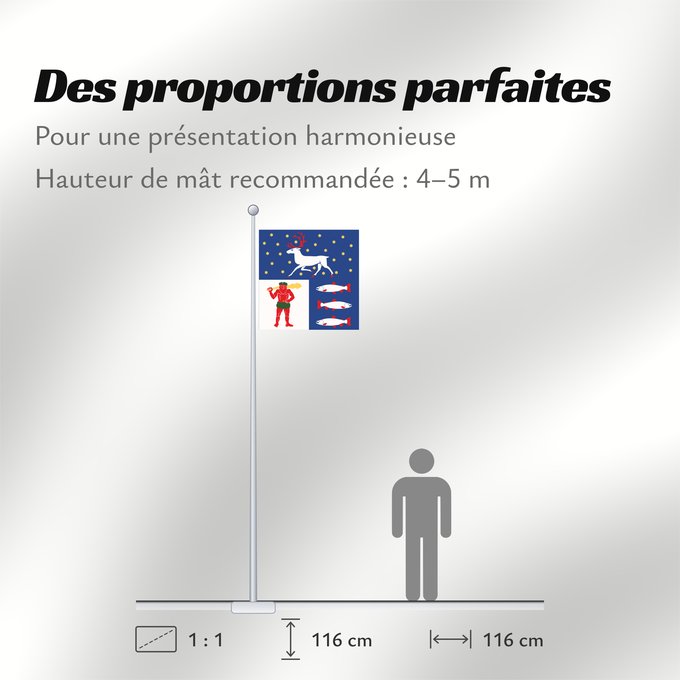 Proportions du drapeau : Västerbottens län vapenflagga	Västerbotten County in Sweden	Västerbotten	Västerbottens läns vapenflagga