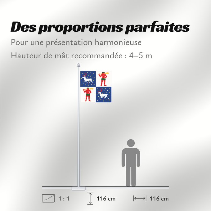 Proportions du drapeau : Norrbottens län vapenflagga	Norrbotten County in Sweden	Norrbotten	Norrbottens läns vapenflagga