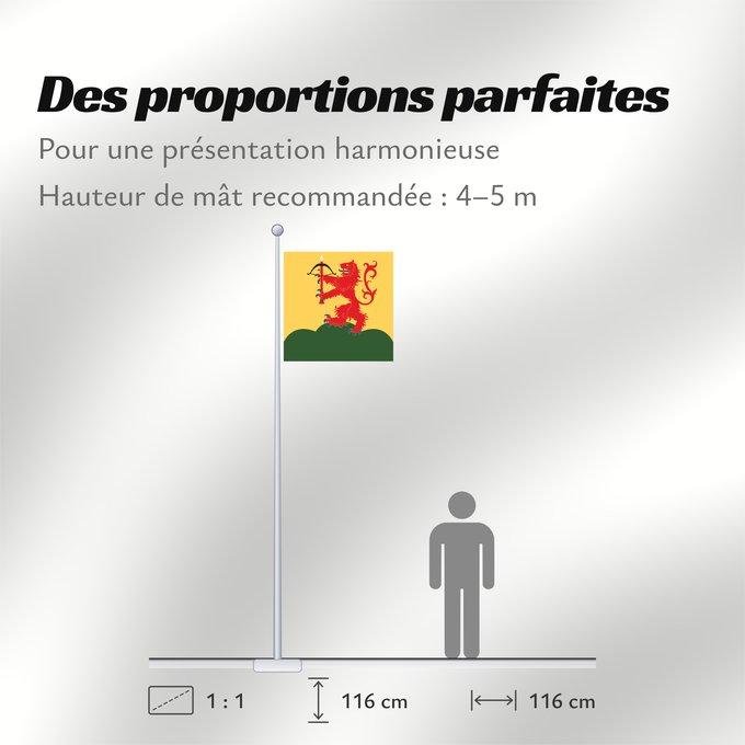 Proportions du drapeau : Kronobergs län vapenflagga	Kronoberg County in Sweden	Kronoberg	Provincia de Kronoberg	Kronobergs läns vapenflagga