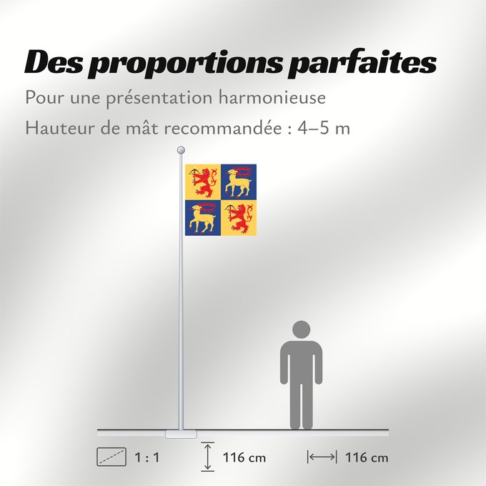 Proportions du drapeau : Kalmar län