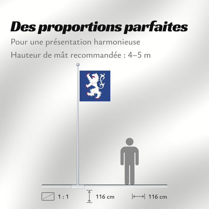 Proportions du drapeau : Hallands län vapenflagga	Halland County in Sweden	Halland	Hallands läns vapenflagga
