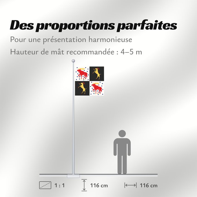 Proportions du drapeau : Gävleborgs län vapenflagga	Gävleborg County in Sweden	comté de Gävleborg	Gävleborg	Gävleborgs län	Gävleborg County	Gävleborgs läns vapenflagga