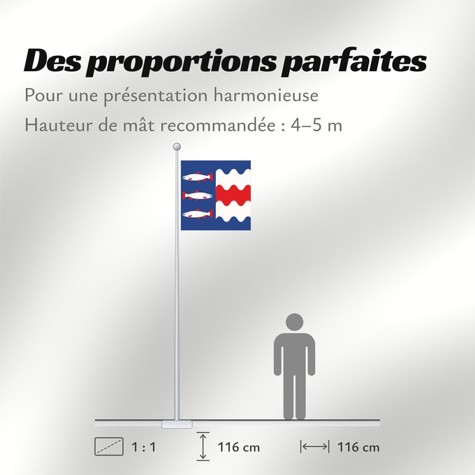 Proportions du drapeau : Västernorrlands län