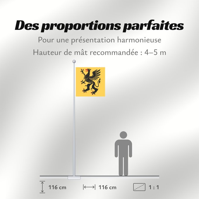 Proportions du drapeau : Södermanlands län vapenga