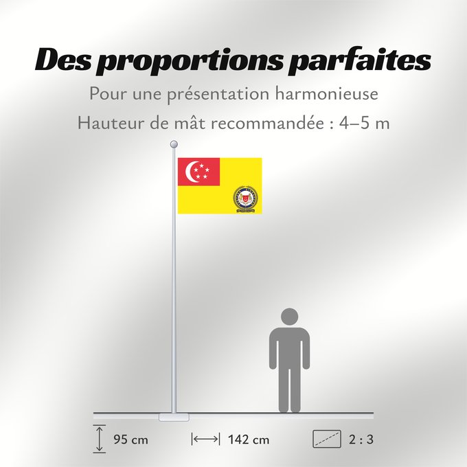Proportions du drapeau : Singapore Army Service