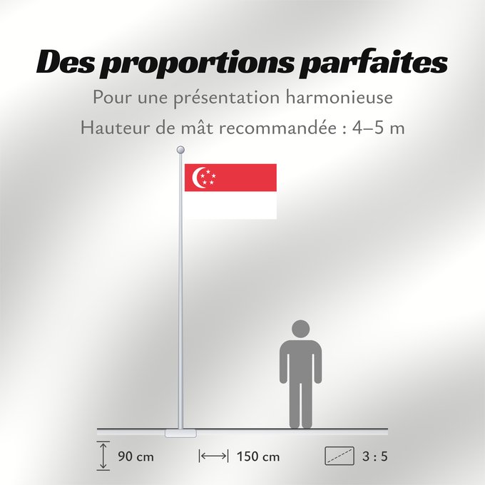 Proportions du drapeau : Singapore	Singapour	Singapur	Singapuru	علم سنغافورة	Singapuro	Singapura	Флаг Сингапура	Singapurja	சிங்கப்பூரி்ன் கொடி	​新加坡国旗