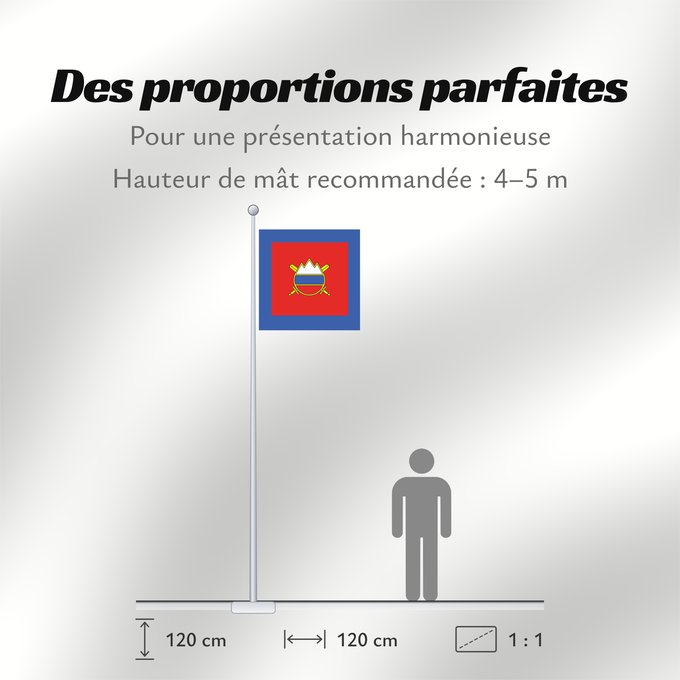 Proportions du drapeau : Minister of Defense of Slovenia	Ministre de la Défense de Slovénie	Ministro de Defensa de Eslovenia	Verteidigungsminister von Slowenien	Ministro della Difesa della Slovenia	Ministra za obrambo Slovenije