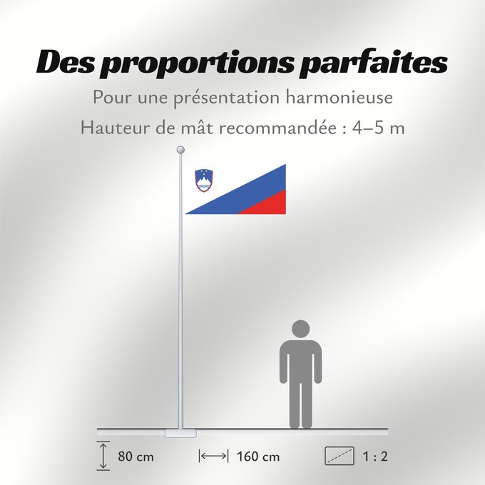 Proportions du drapeau : Slovenia Flag proposal	Proposed national flag of Slovenia  2003