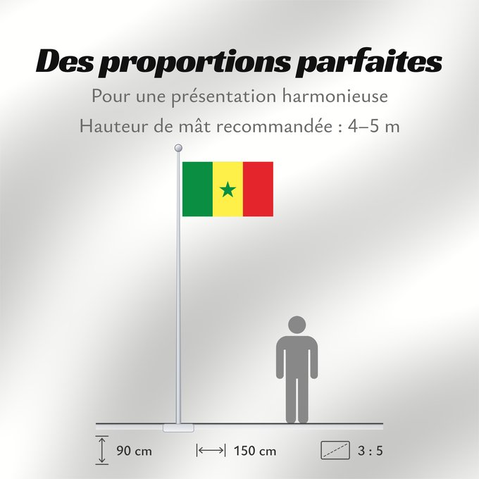 Proportions du drapeau : Senegal Sénégal Senegalo پرچم سنگال Senegala