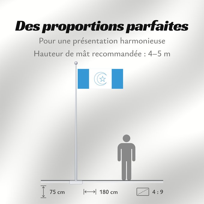 Proportions du drapeau : Awdalland	علم أرض أودال‎‎