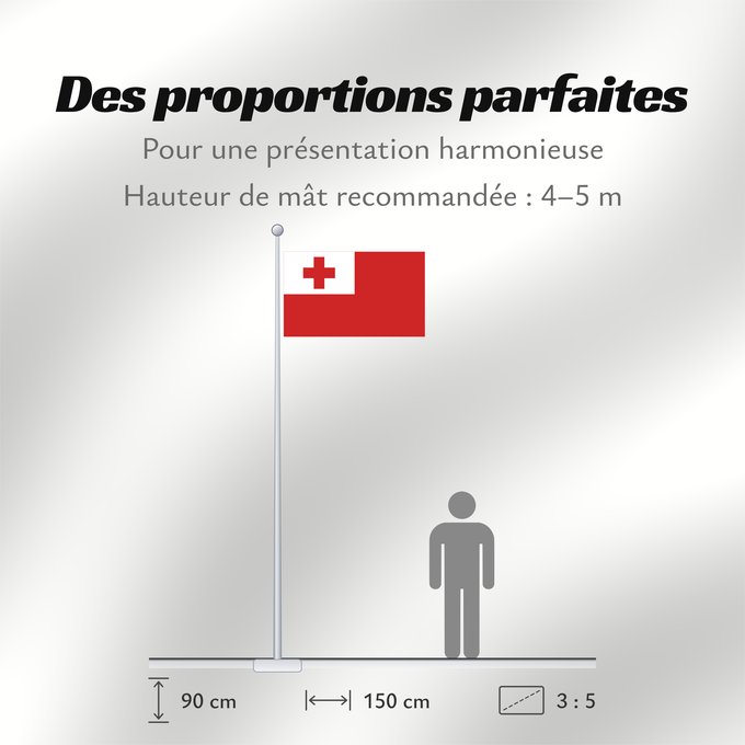 Proportions du drapeau : Tonga Thonga Brattagh ny Tongey Tonge Fuka ʻo Tonga