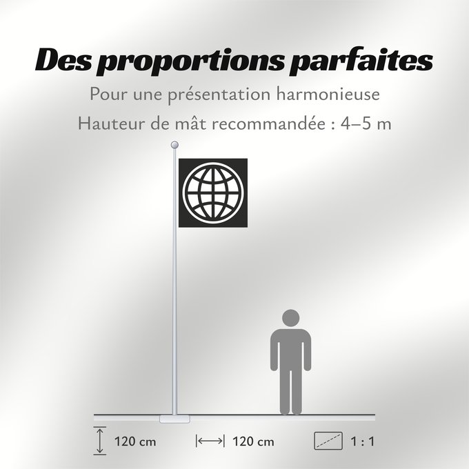 Proportions du drapeau : The World Bank Group
