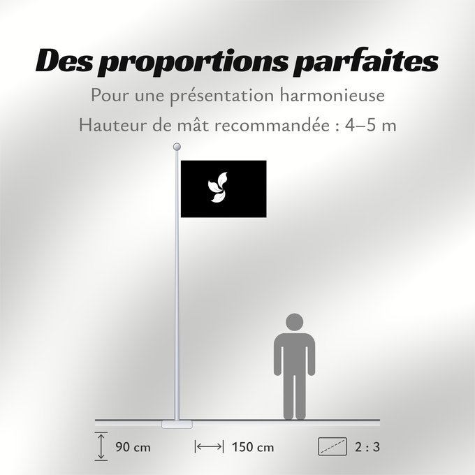 Proportions du drapeau : Hong Kong  black and white; variant 4	Hong Kong (black and white; variant 4)	Hong Kong (noir et blanc ; variante 4)	Hong Kong (blanco y negro; variante 4)	Hongkong (Schwarz-Weiß; Variante 4)	Hong Kong (bianco e nero; variante 4)