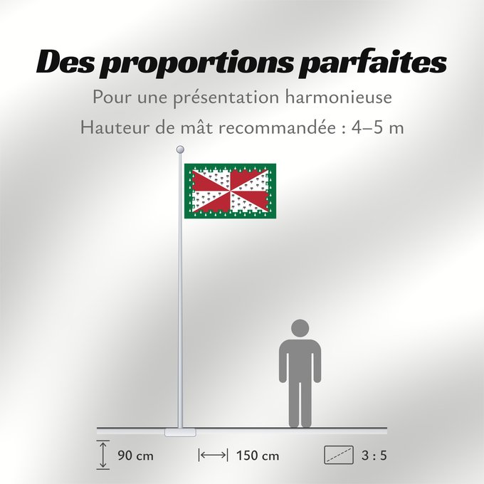 Proportions du drapeau : Loudoun County, Virginia Comté de Loudoun, Virginie Condado de Loudoun, Virginia Contea di Loudoun, Virginia