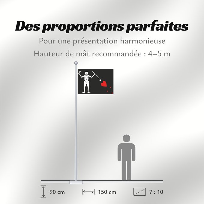 Proportions du drapeau : Pirate Flag of Blackbeard Edward Teach Illustration of Blackbeard s Jolly Roger flag