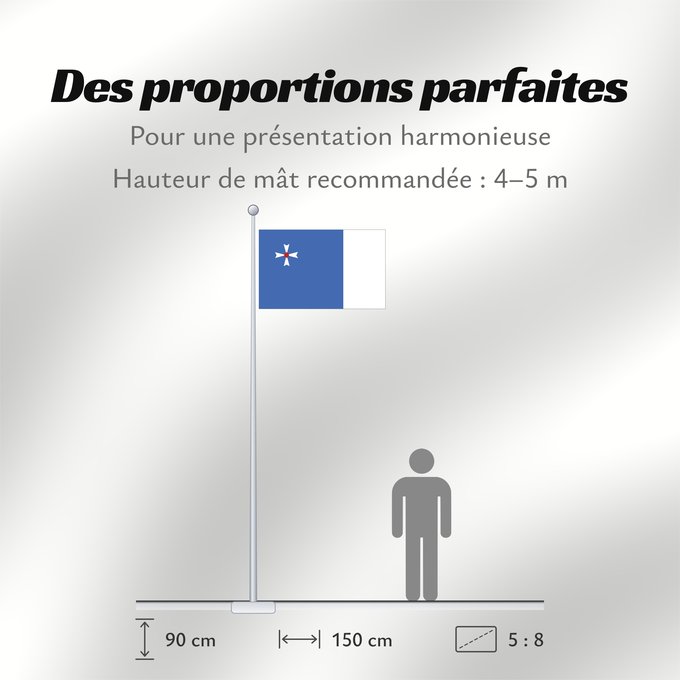 Proportions du drapeau : POL Wejherowo	City of Wejherowo  upon Appendix no