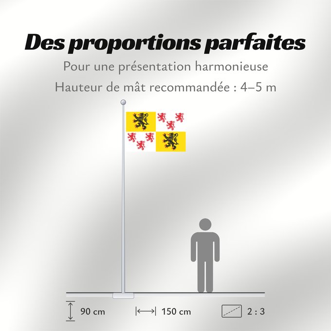 Proportions du drapeau : Proposed design for a flag of Hauts-de-France	Proposition de drapeau de la région Nord-Pas-de-Calais-Picardie	Diseño de bandera propuesta para la región de Alta Francia
