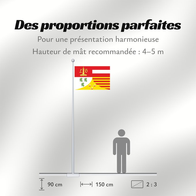Proportions du drapeau : Province of Liège Belgian province Liege Province belge de Liège Provincia de Lieja Provinz Lüttich Provincia di Liegi Belgische provincie Luik