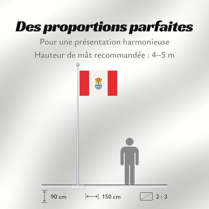 Proportions du drapeau : San Sebastián de los Reyes	Spain	San Sebastián de los Reyes  España