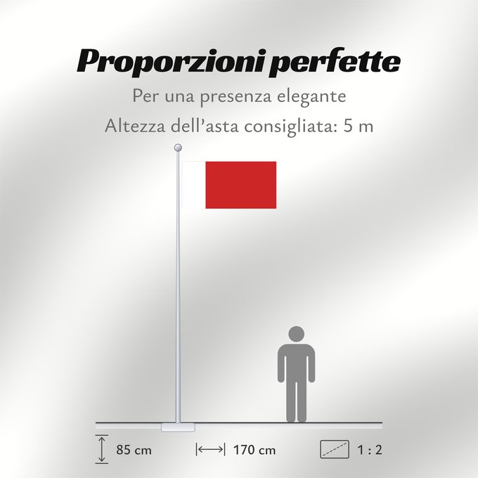 Proporzioni della bandiera: Dubai Dubaï