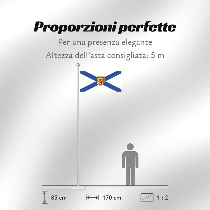 Proporzioni della bandiera: Nova Scotia Nouvelle-Écosse Nueva Escocia Banniel proviñs Skos-Nevez Nova Scotia