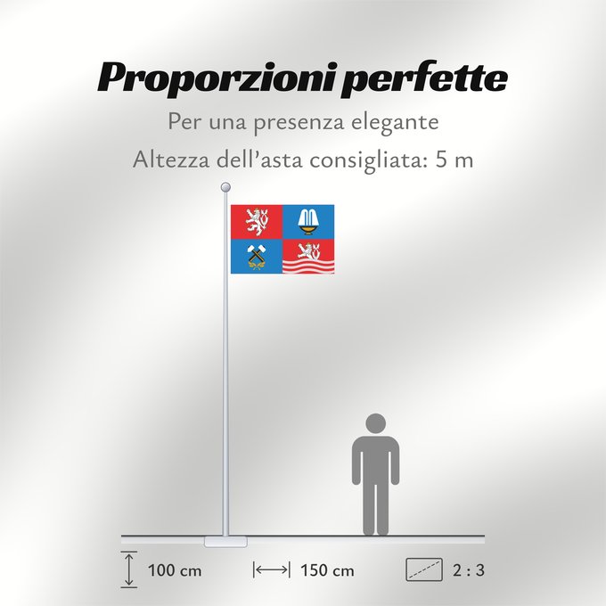 Proporzioni della bandiera: Karlovy Vary Region	Région de Karlovy Vary	Región de Karlovy Vary	Region Karlovy Vary	Regione di Karlovy Vary