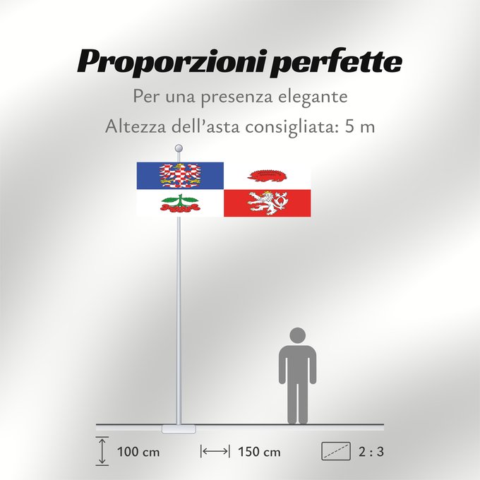 Proporzioni della bandiera: Vysocina Region	Vysočina Region	Région de Vysočina	Región de Vysočina	Region Vysočina