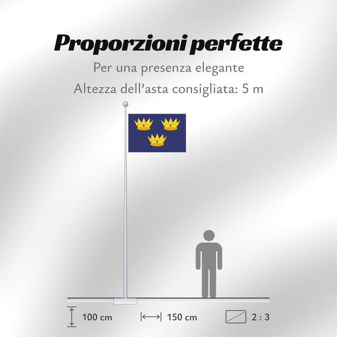 Proporzioni della bandiera: Munster