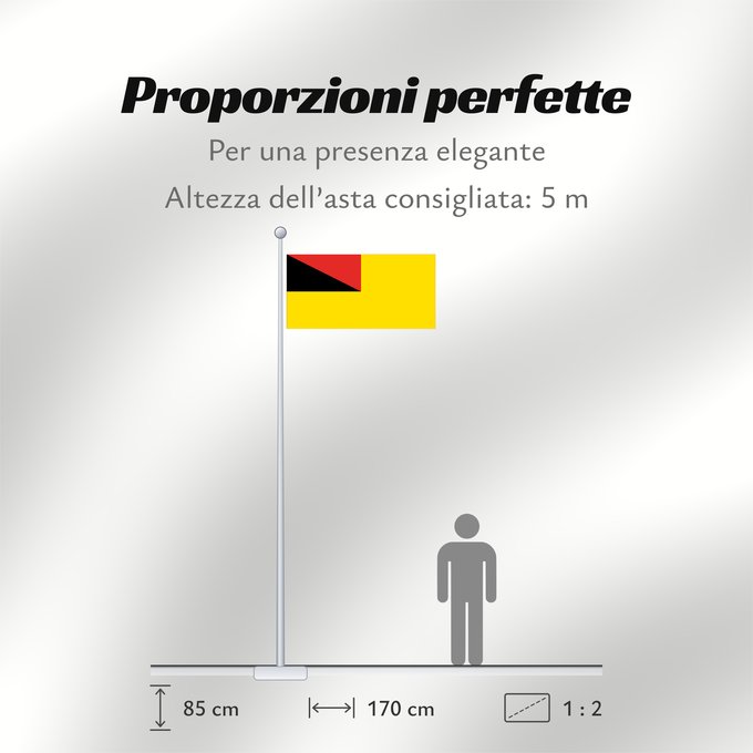Proporzioni della bandiera: Negeri Sembilan	Negeri Sembilan, a state of Malaysia