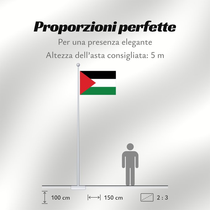 Proporzioni della bandiera: Palestine	State of Palestine	L’État de Palestine	Estado de Palestina	Palästina	Palestina	علم فلسطين	ফিলিস্তিনের পতাকা	Palestino	Dari Negara Palestina	Флаг Государства Палестина