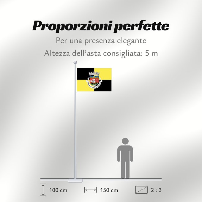 Proporzioni della bandiera: Viana do Castelo