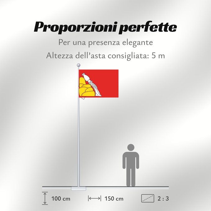 Proporzioni della bandiera: Voronezh Oblast	Voronezh Oblast of Russia	Oblast de Voronej	Óblast de Vorónezh	Oblast Woronesch	Флаг Воронежской области  Россия	Прапор Воронезької області  Росія